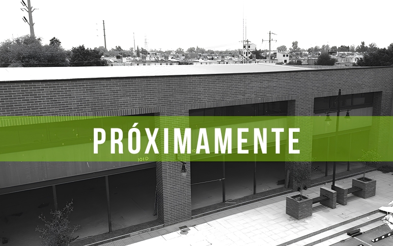 Gym Center Express — Las Torres Celaya